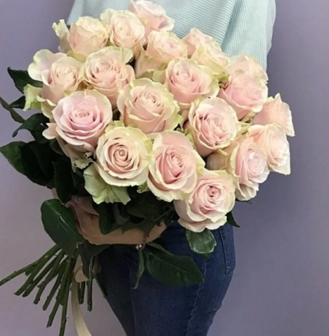 15 нежно-розовых роз (Эквадор)