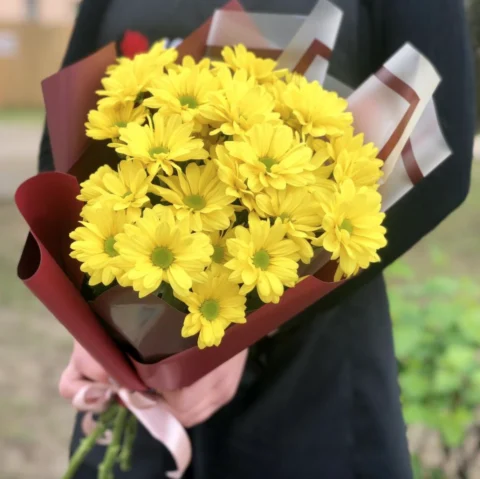 5 желтых кустовых хризантем в упаковке с атласной ленточкой